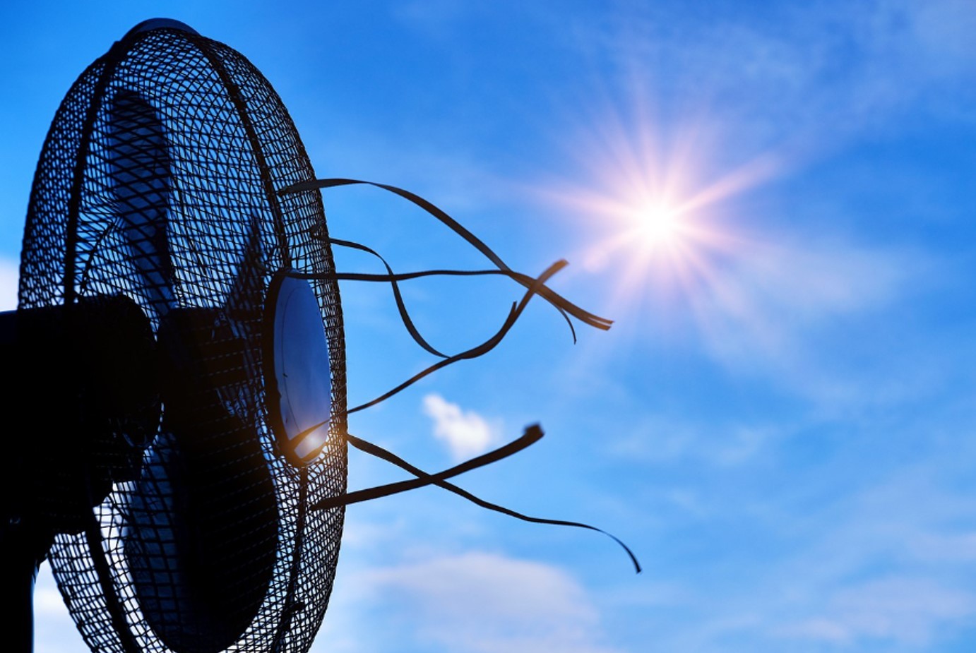 Ein Ventilator bringt Abkühlung